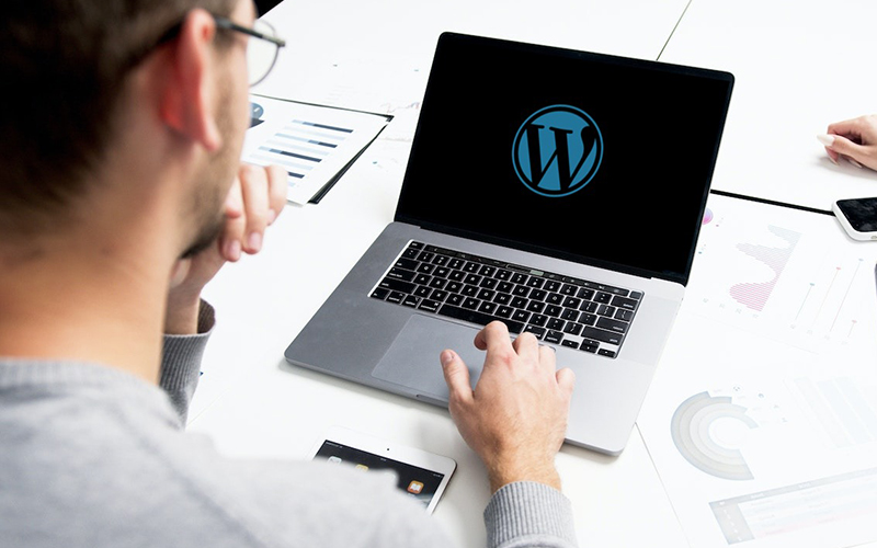 WordPress Web development by profesional